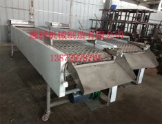 逸村專利產(chǎn)品香菇剪腿機走上央視 展現(xiàn)機械化魅力