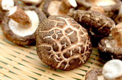 隨縣縣長(zhǎng)：香菇外貿(mào)出口存壓力，積極拓展國(guó)內(nèi)市場(chǎng)