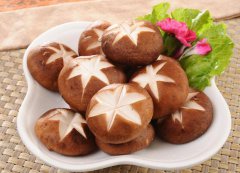 隨州食用菌出口增長(zhǎng)34%