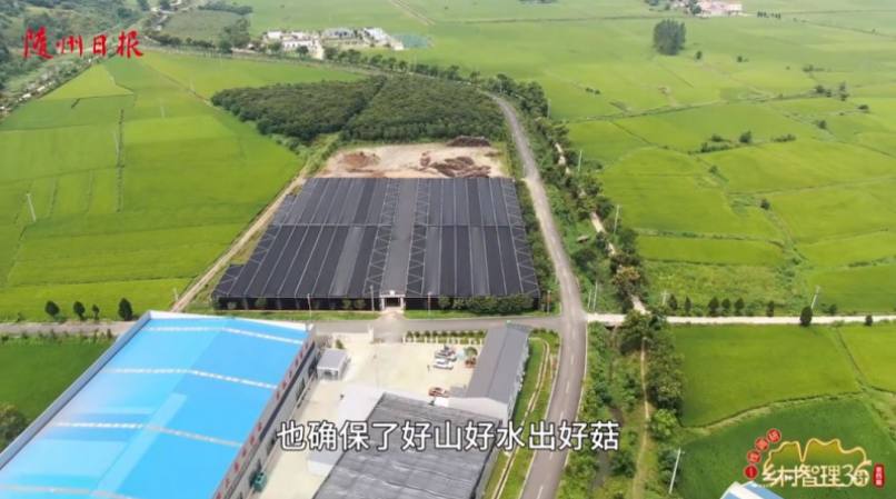 保持露天栽培，確?！昂蒙胶盟龊霉健? title=